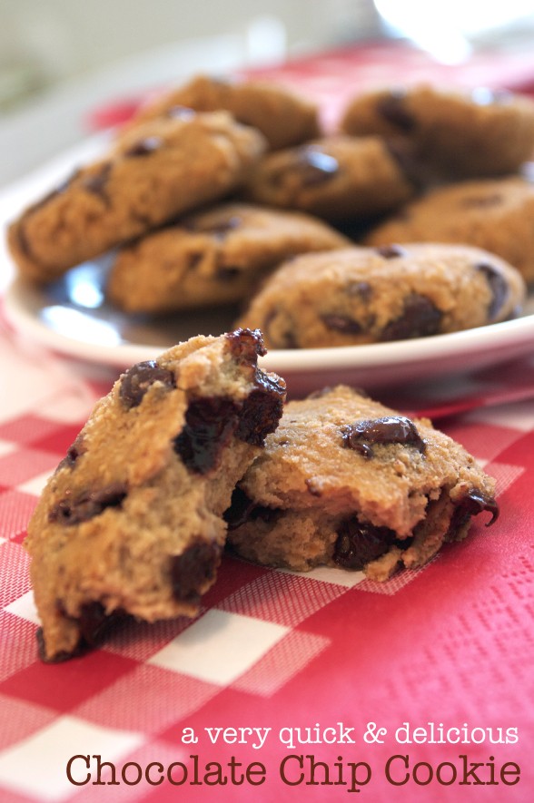 Chocolate Chip cookies on red table cloth