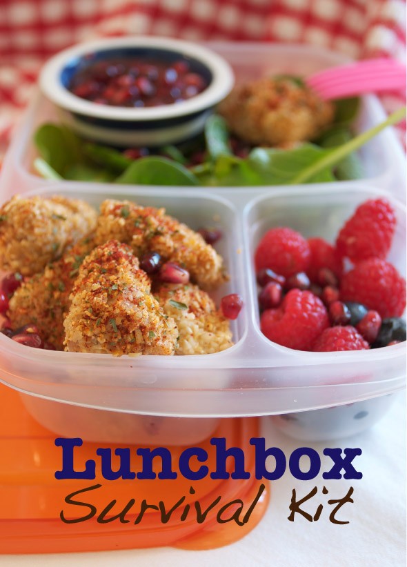 Back to School Lunch Box Survival Tips | MarlaMeridith.com