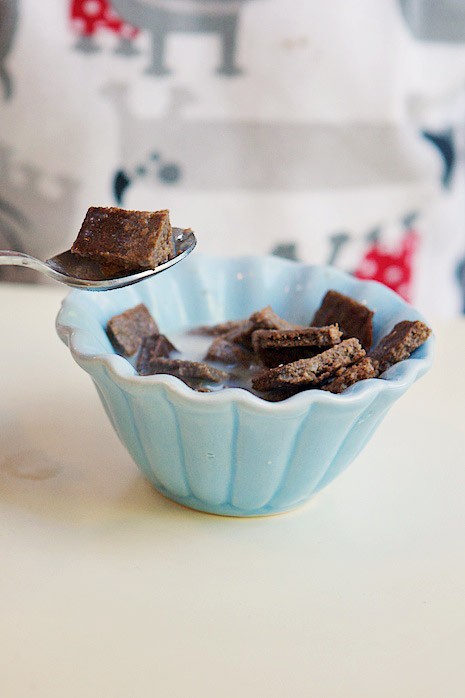 Homemade chocolate breakfast cereal on MarlaMeridith.com blog.