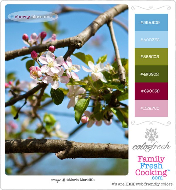 Spring blossoms color palette on MarlaMeridith.com.com