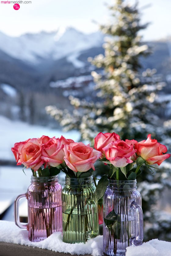 Roses in snowy Telluride, CO | MarlaMeridith.com ( @marlameridith )