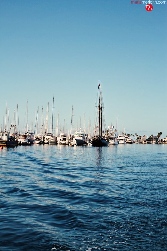 Santa Barbara Harbor Tour| MarlaMeridith.com ( @marlameridith ) #travel #luxury #SavorSB