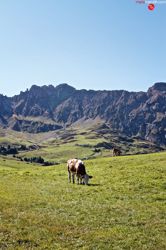 The Italian Dolomites. An epic trekking trip! MarlaMeridith.com ( @marlameridith )