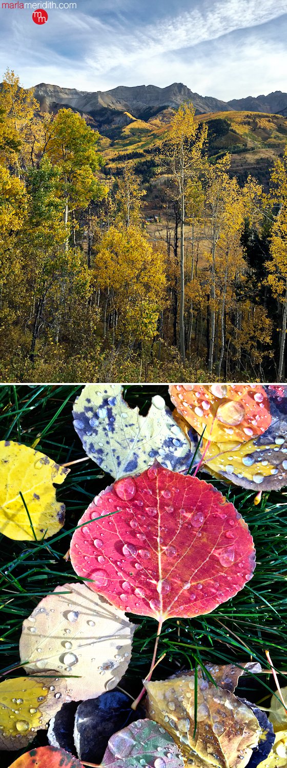 Fall colors in Telluride, Colorado | MarlaMeridith.com ( @marlameridith )