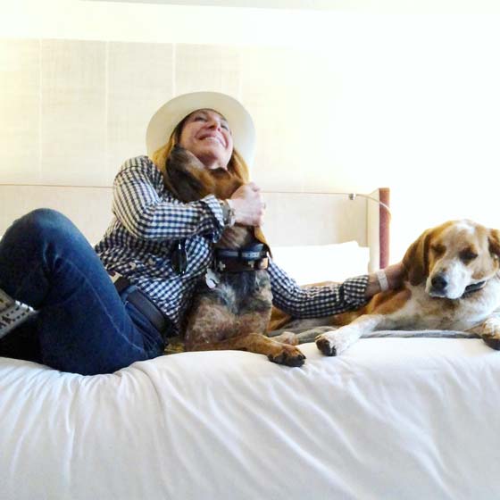 Experience The Little Nell in Aspen, Colorado with your pet. I love this slope side 5 Star Hotel! MarlaMeridith.com