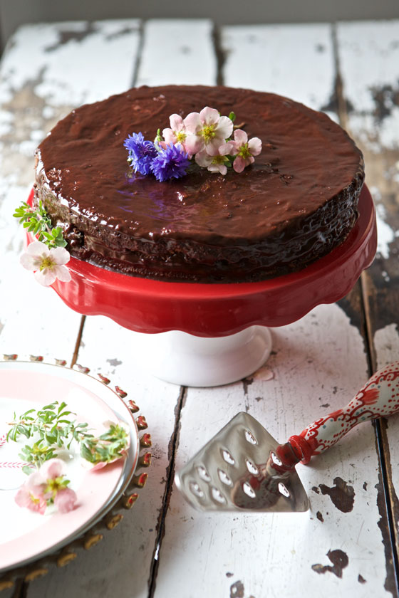 Pre-Order: High Alpine Cuisine Cookbook by MarlaMeridith.com and get the recipes for the most delicious recipes including this Sacher Torte for chocolate lovers!