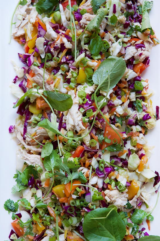 We love this gluten-free, grain-free Asian Chicken Salad. From prep to table in just 15 minutes! Get the recipe on newmm2019.wpengine.com