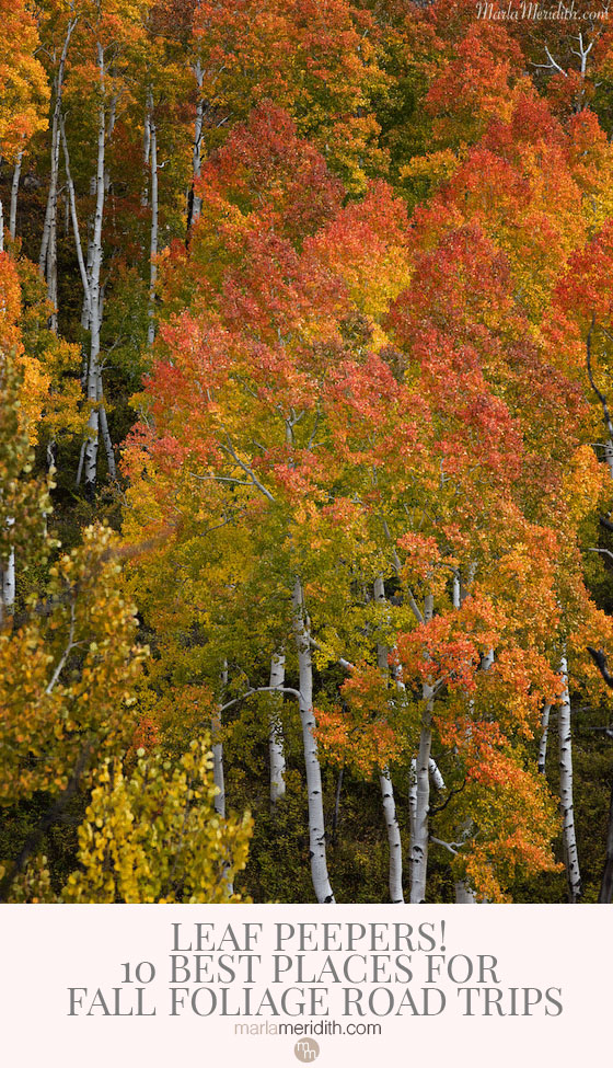 Leaf Peepers! 10 Best Places to for Fall Foliage Road Trips! MarlaMeridith.com